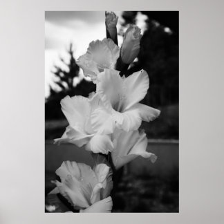Bröllop-blomman poster