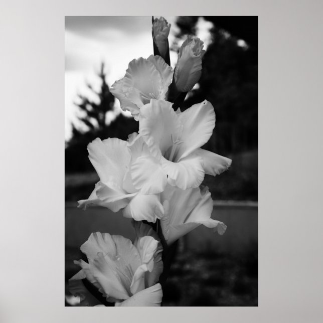 Bröllop-blomman poster (Framsidan)