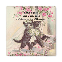 Bröllop Cats Bride and Groom