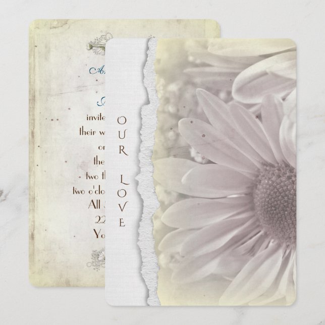 bröllop daisy i mjuk gult med sliten pappra kant inbjudningar (Fram/baksida)
