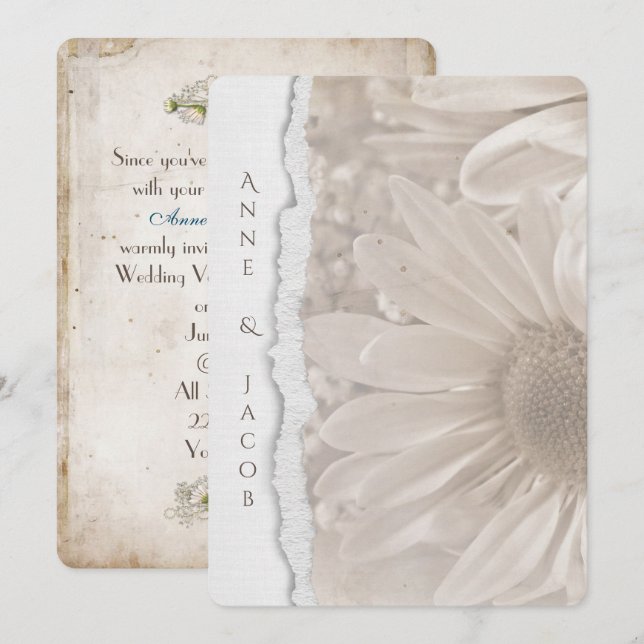 bröllop daisy i Sepia med sliten pappra kant Inbjudningar (Fram/baksida)