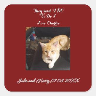 Bröllop Ginger Cat Foto Text Anpassa Fyrkantigt Klistermärke