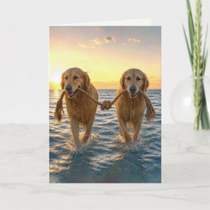 Bröllop Golden Retrievers med knuten rep Kort