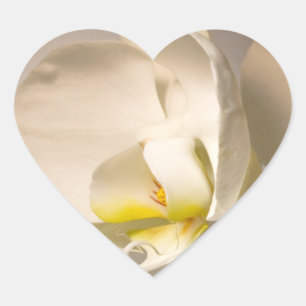 Bröllop Hearts White Orchid Kuvert Seal Event Vi Hjärtformat Klistermärke