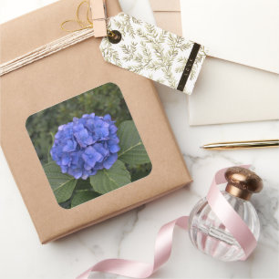 Bröllop kuvert Stickers Blue Hydrangea Flower Fyrkantigt Klistermärke