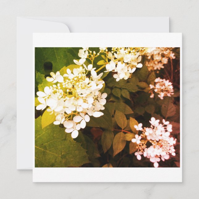 Bröllop med blommor Foto Tack Kort (Framsida)