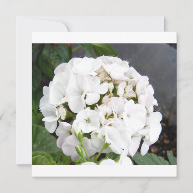 Bröllop med gnistrande vita blommor spara datumet (Framsida)