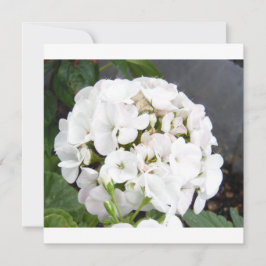 Bröllop med gnistrande vita blommor spara datumet