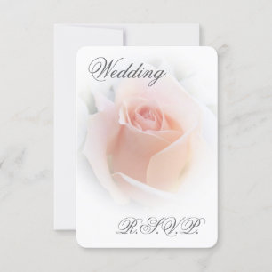 Bröllop OSA Card Peach Rosa Rosenknopp Kort