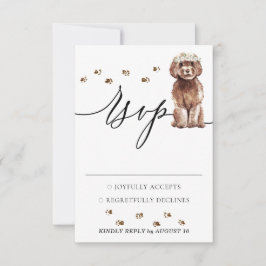 Bröllop Response Brown Cavapoo Hund OSA Kort