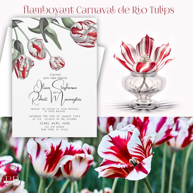 Bröllop | Röda och vita Rembrandt Tulips Inbjudningar (Stunning BOLD red and White  Rembrandt tulips - what a delight for your red and white wedding  theme)