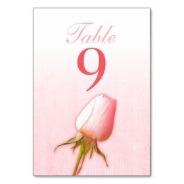 Bröllop rosa bordsnummer vid ro som ligger vid 