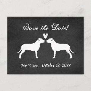 Bröllop spara datum för groptjurTerriers Meddelande Vykort