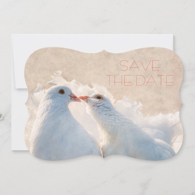 Bröllop spara datum Kissing Doves Datumet (Framsida)