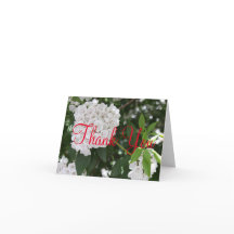 Bröllop Tack Vackert berg Laurel Flower