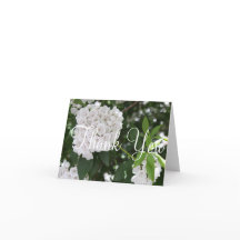 Bröllop Tack Vita Mountain Laurel Blomma
