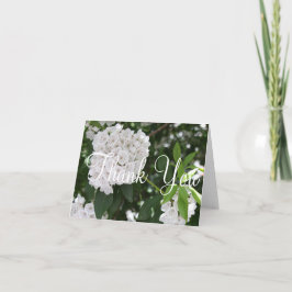 Bröllop Tack Vita Mountain Laurel Blomma Kort