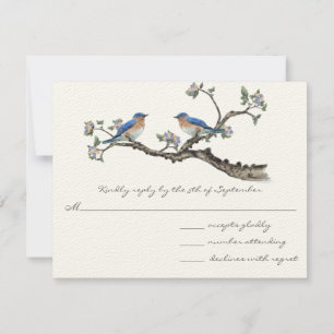 Bröllopet OSA vintage Bluebirds Kort
