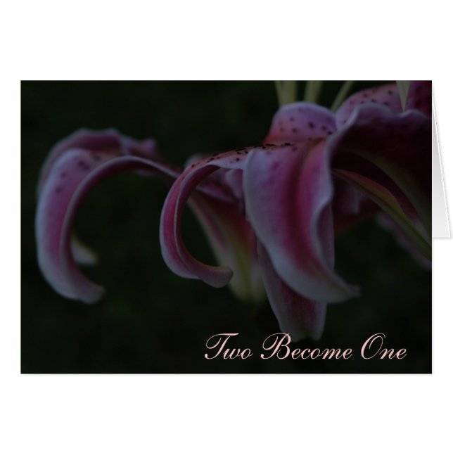 Bröllopkort - Haiku Hälsningskort (Framsidan Horizontal)