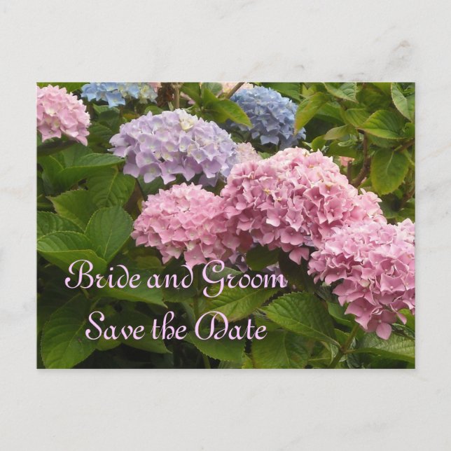 Bröllops Hydrangeor Spara Datumet Meddelande Vykort (Framsida)