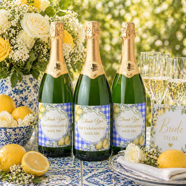 Bröllopsdusch med blå gingham-trädgård Tack Citron (Skapare uppladdad)