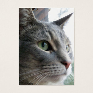 Bröllopsförmånskort (exempel) visitkort