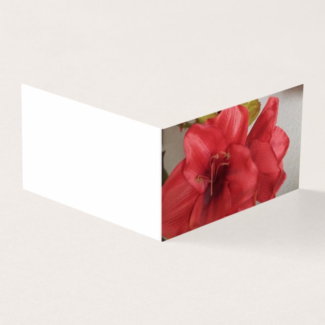 bröllopsinbjudan amaryllis rött kort (Utsida)