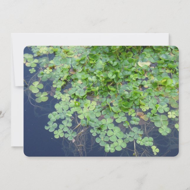 Bröllopsinbjudan från Irish Vår Klöver Inbjudningar (Framsida)