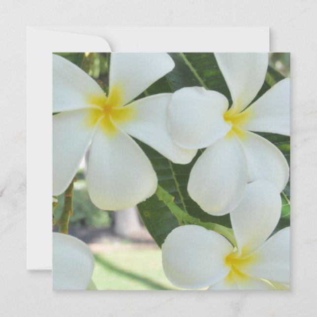 Bröllopsinbjudan på Hawaiianska Plumeria Inbjudningar (Framsida)