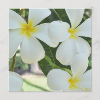 Bröllopsinbjudan på Hawaiianska Plumeria Inbjudningar