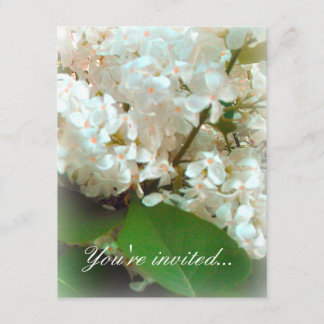 Bröllopsinbjudan - vita Lilacs Inbjudningar