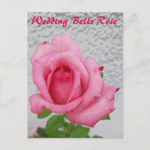 Bröllopsklockor Rosa blomma - snigelpostkort Vykort