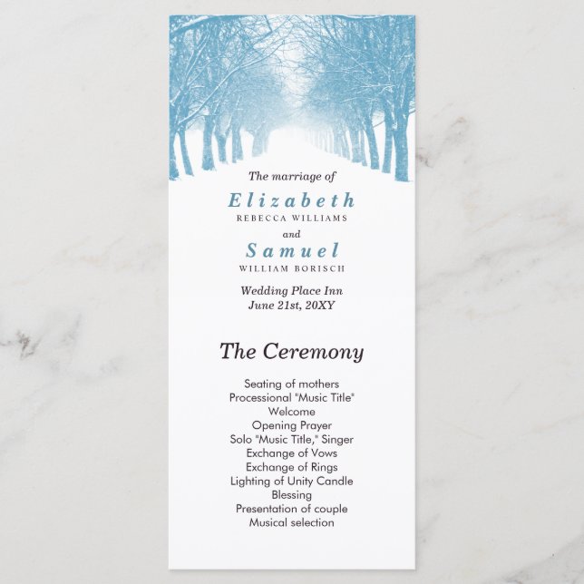 Bröllopsprogram Winter Träd Avenue Väg Program (Framsida)
