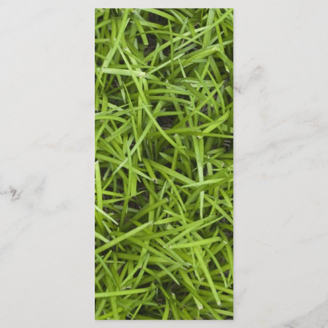 Bröllopsprogrammet grönt Grass Backyard Program (Baksida)