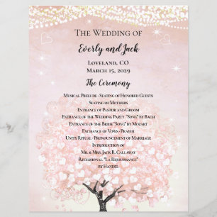 Bröllopsprogrammet Rosa Fairytale