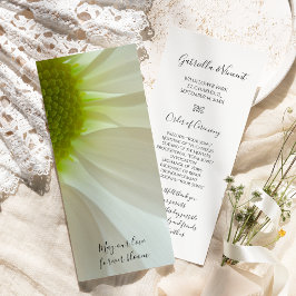 Bröllopsprogrammet White Daisy Petals Program