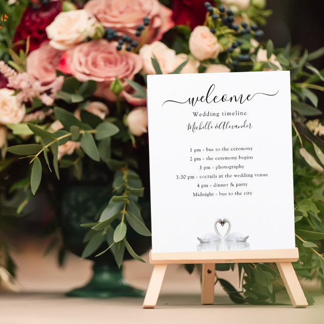 Bröllopstidsplan program vita svanar (Skapare uppladdad)