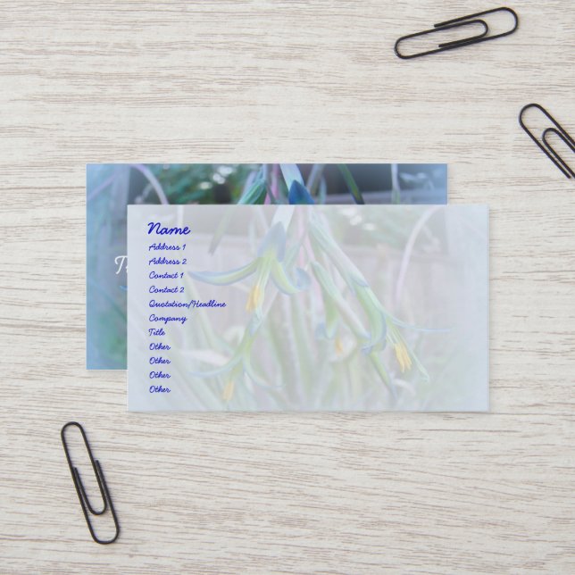 Bromeliad-Blommar på Blue Visitkort (Fram/Back In Situ)