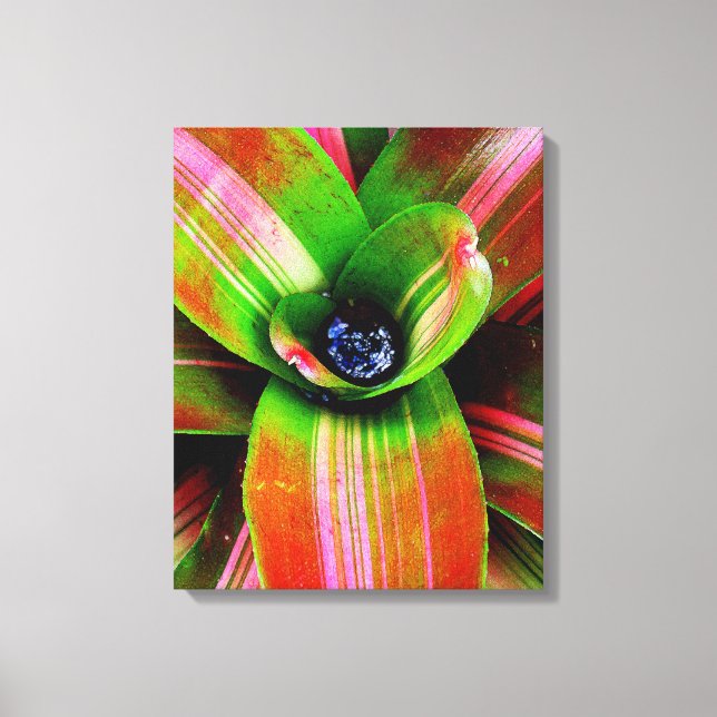 Bromeliad Canvastryck (Framsida)
