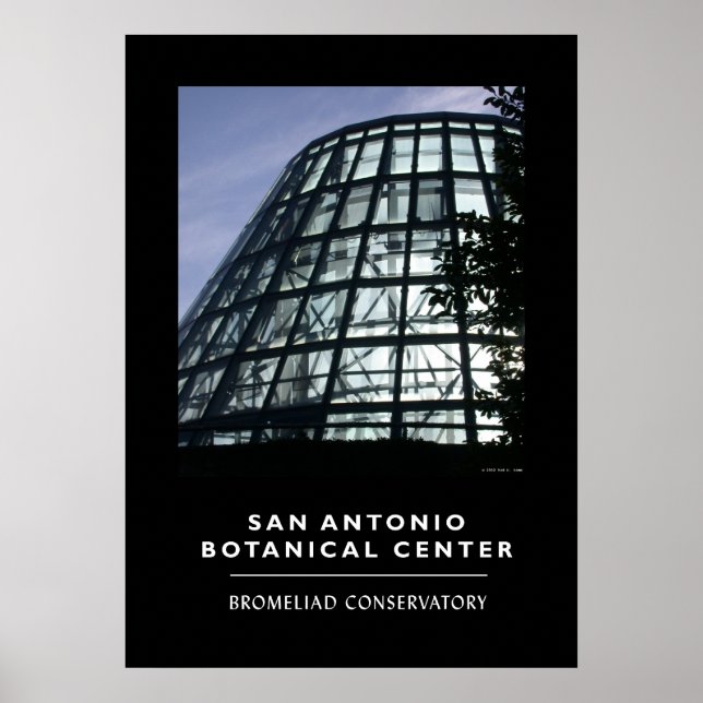 Bromeliad Conservatory Poster (Framsidan)