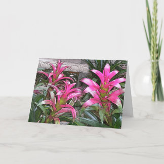 Bromeliad hälsningkort kort