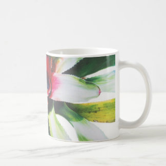 Bromeliad Kaffemugg