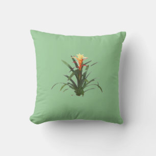 Bromeliad med blomma kudde