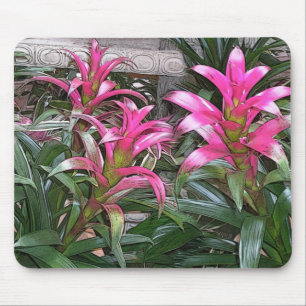 Bromeliad Mouspad Musmatta