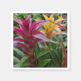 Bromeliad Pappersservett
