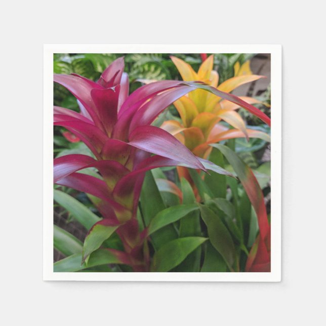 Bromeliad Pappersservett (Framsidan)