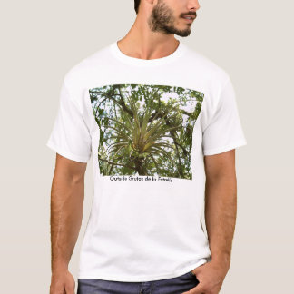 Bromeliad utanför Grutas de la Estrella Tee Shirt