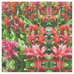 Bromeliads Tyg