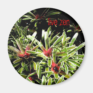 Bromeliss live zen magnet