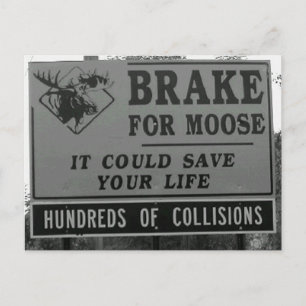 Broms for Moose Vykort